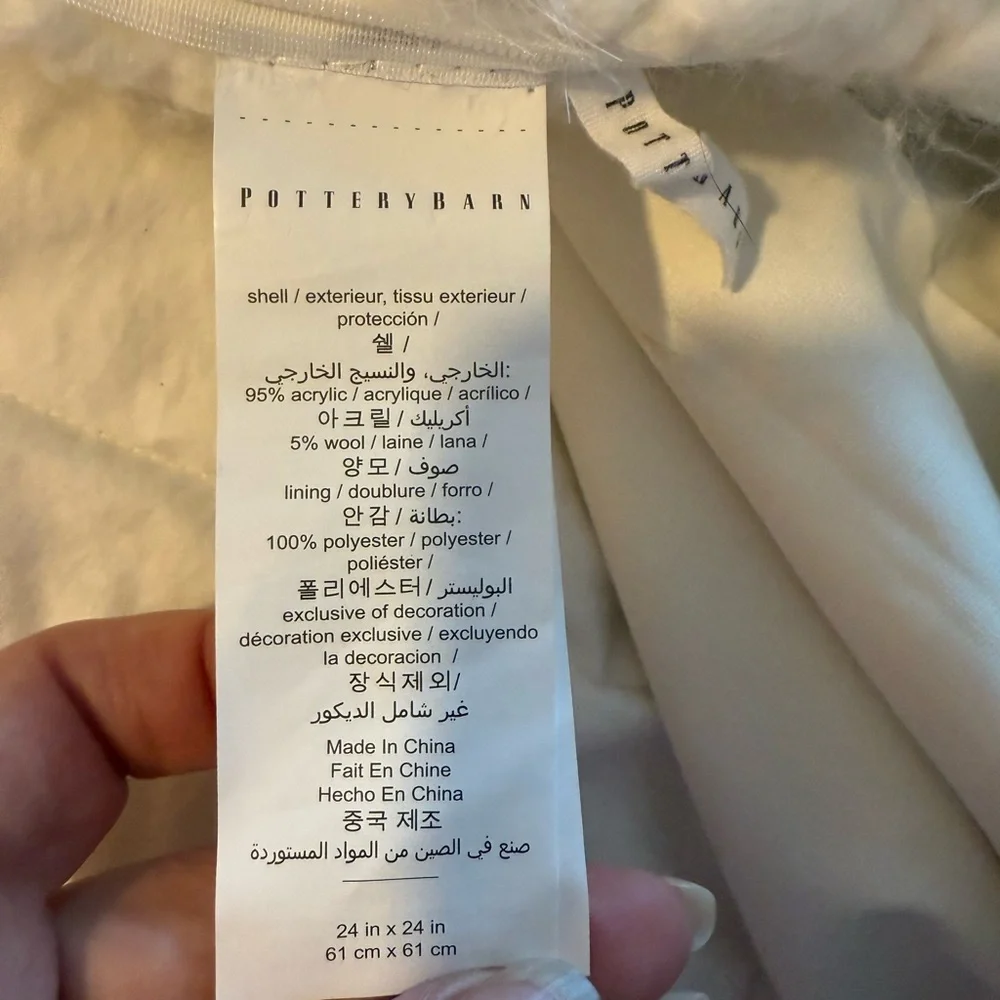 Pottery Barn Woven White Large Pillow Case